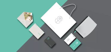 2017德國紅點(diǎn)設(shè)計(jì)大獎（平面類）獲獎作品完整版 設(shè)計(jì)洞察與翻譯解讀